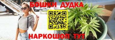 шишки Балашиха