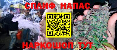 шишки Балашиха