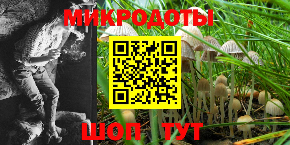 Дербент  купить наркотик  Вход с VPN  Галлюциногенные грибы прущие грибы  Псилоцибиновые грибы Psilocybe 